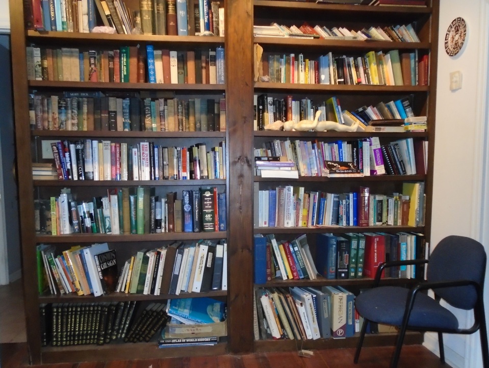 bookshelves0515
